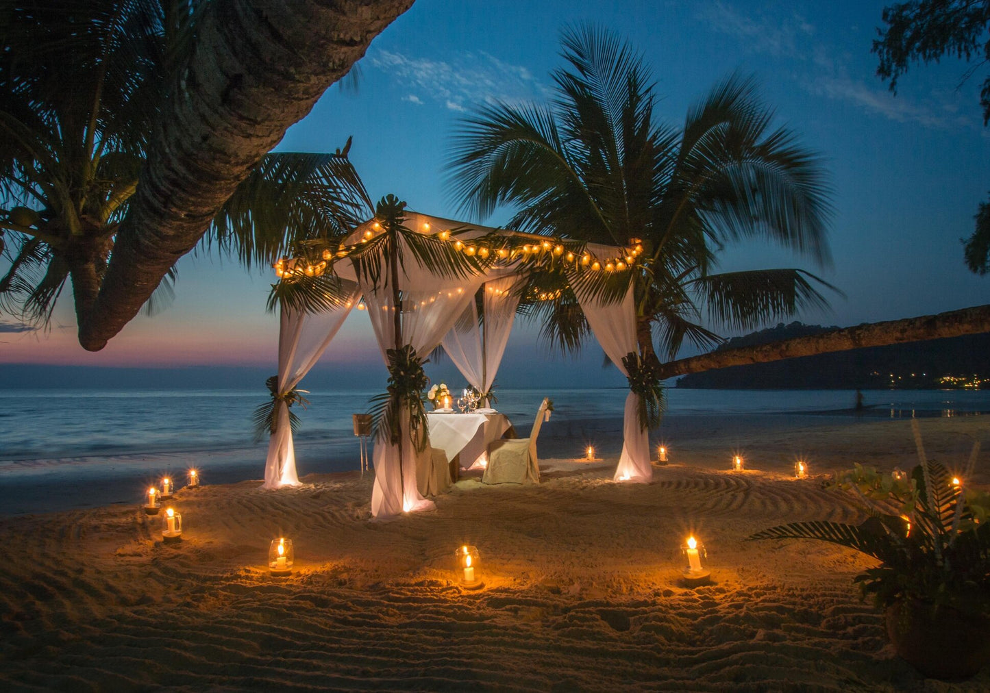 Canopy Retreat